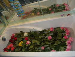 Bouquets from the bath photo