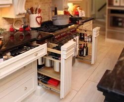 Kitchen Organization Apartment Photo