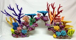 Corals for the bathroom photo