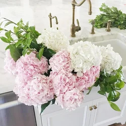 Peonies in the kitchen photo
