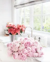 Peonies in the kitchen photo