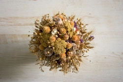 Dried flowers in the bathroom photo