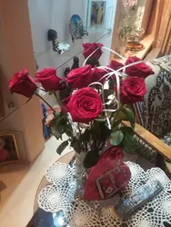 Photo of one rose in the kitchen