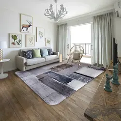 Carpet For A Gray Living Room Photo