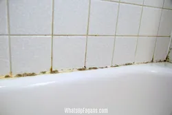 Photo of black seams in the bathroom