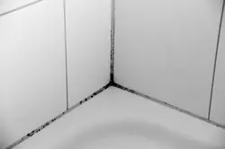 Photo of black seams in the bathroom