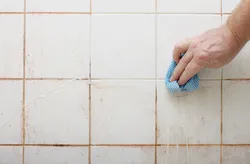 Photo of black seams in the bathroom