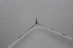 Фото черных швов в ванной