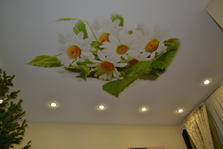 Flowers on the kitchen ceiling photo