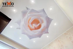 Flowers on the kitchen ceiling photo