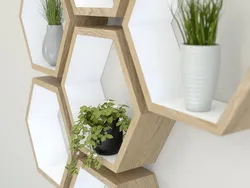 Honeycomb shelves in the kitchen photo