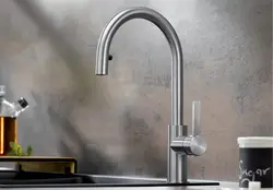 Stainless steel kitchen faucet photo