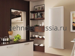 Vertical radiators in the kitchen photo