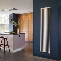 Vertical radiators in the kitchen photo