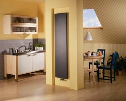 Vertical radiators in the kitchen photo