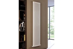 Vertical radiators in the kitchen photo