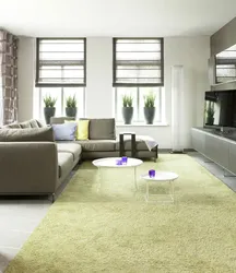 Photo of green carpets in the living room