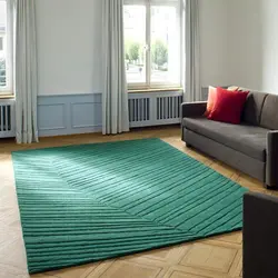 Photo of green carpets in the living room