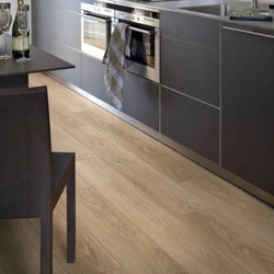 Kitchen With Dark Linoleum Photo