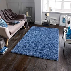 Blue carpets for living room photo