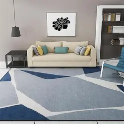 Blue Carpets For Living Room Photo
