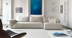 Sofa In The Living Room Minimalism Photo