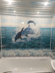 Delfin Vannasi Panellari Fotosurati