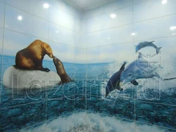 Dolphin Bath Panels Photo