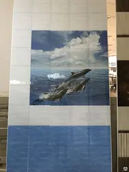 Dolphin bath panels photo