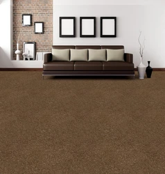 Brown carpet in the living room photo