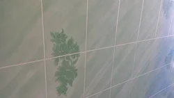 Moisture-resistant MDF for bathroom photo