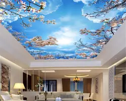 Photo wallpaper on the ceiling in the kitchen