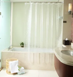 Bathtub With Shower Curtain Photo