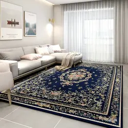 Choose a carpet for the living room from a photo