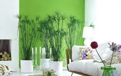 Green Flowers In The Living Room Interior Photo