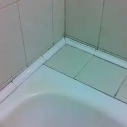 Борцік у ванны з пліткі фота