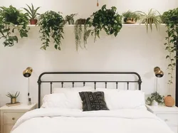 Flower Shelves In The Bedroom Photo