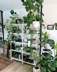 Flower Shelves In The Bedroom Photo