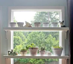 Shelf On The Windowsill In The Kitchen Photo