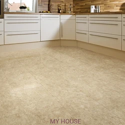 Matte kitchen floor tiles photo