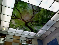 Photo of glass ceiling in the kitchen