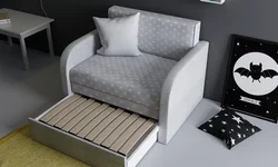 Sofa Bed With Sleeping Place Photo