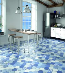 Blue Kitchen Floor Tiles Photo