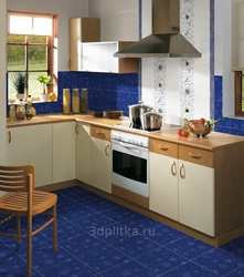 Blue Kitchen Floor Tiles Photo