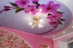 Flowers On The Ceiling In The Bedroom Photo