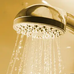 Photo of shower in bathtub with water