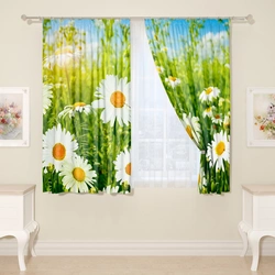 Tulle for the kitchen with daisies photo