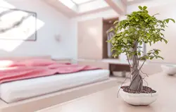 Photo Of Flowers In The Bedroom According To Feng Shui
