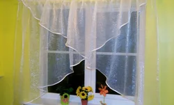 Organza Curtains For The Kitchen, Photos Of Your Own