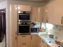 Кухни с пеналом и встроенным холодильником фото